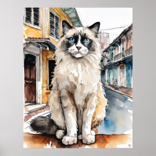 Ragdoll Cat - Katze Art Print Poster