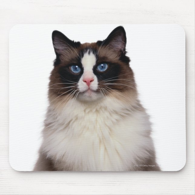 Ragdoll Cat Mousepad (Vorne)