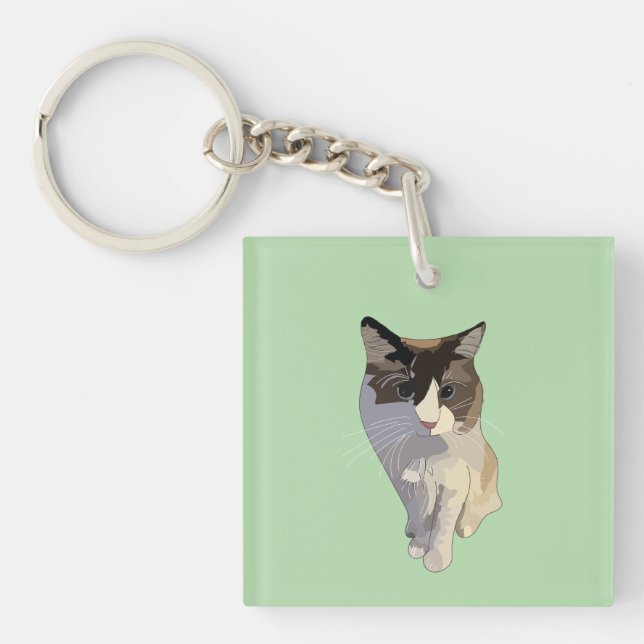 Ragdoll cat, pastel green, stained glass schlüsselanhänger (Vorderseite)