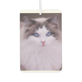 Ragdoll Cat Personalisiert Foto Air Freshener Autolufterfrischer