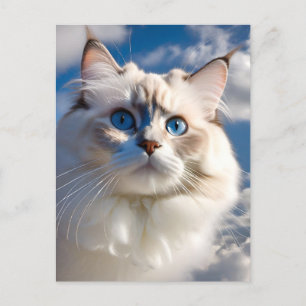 Ragdoll Cat Postcard Postkarte