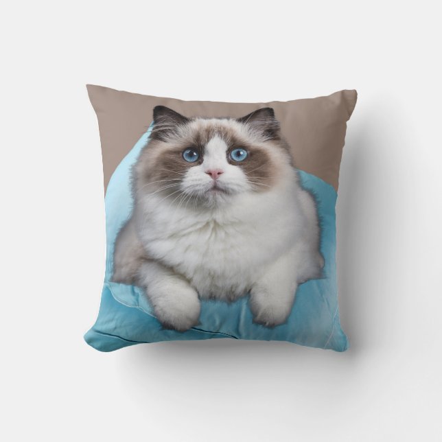 Ragdoll Cat Square Throw Kissen (Vorderseite)