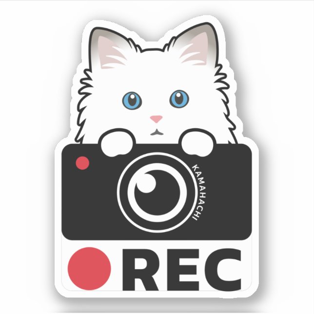 Ragdoll Chat Enregistrement Vinyl Sticker avertiss (Devant)