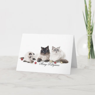 Ragdoll Familie Weihnachtskarte Feiertagskarte