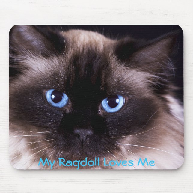 Ragdoll IPhone und IPad Abdeckungen und Mousepad (Vorne)