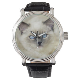 Ragdoll-Kätzchen Armbanduhr