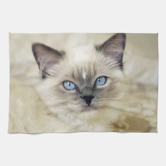 Ragdoll-Kätzchen Handtuch (Horizontal)
