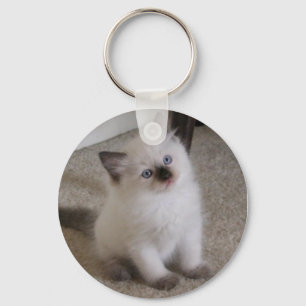 Ragdoll Kätzchen Schlüsselanhänger