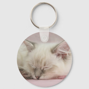 ragdoll Kätzchen-Schlüsselanhänger Schlüsselanhänger