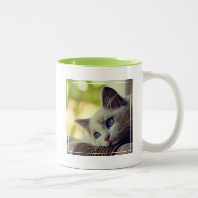 Ragdoll Kätzchen Zweifarbige Tasse (Rechts)