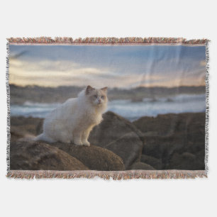Ragdoll Katze am Strand Decke
