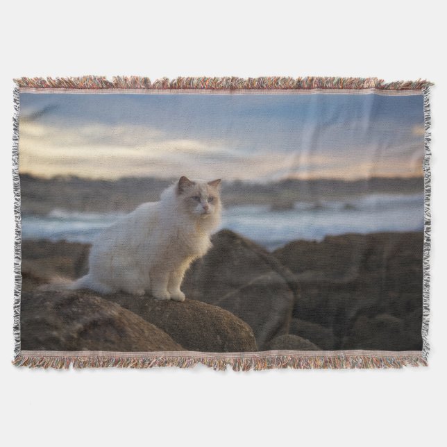 Ragdoll Katze am Strand Decke (Vorderseite)