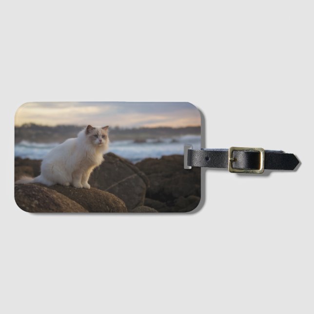 Ragdoll Katze am Strand Gepäckanhänger (Vorderseite (Horizontal))