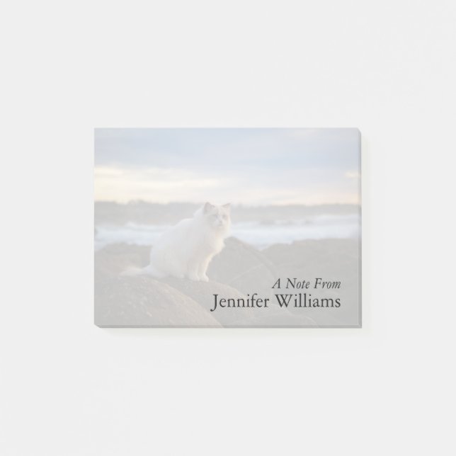 Ragdoll Katze am Strand Post-it Klebezettel (Vorderseite)