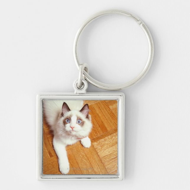 Ragdoll Katze auf Boden, erhöhte Ansicht Schlüsselanhänger (Vorne)