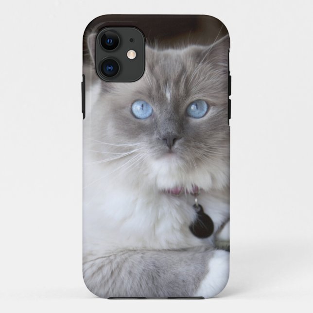 Ragdoll-Katze Case-Mate iPhone Hülle (Rückseite)