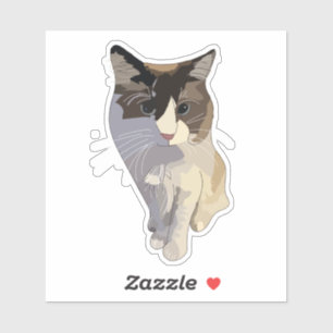 Ragdoll-Katze, Dusty Blue Aufkleber