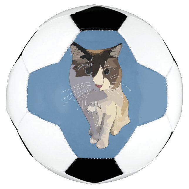 Ragdoll-Katze, Dusty Blue Fußball (Vorderseite)