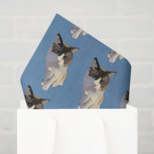 Ragdoll-Katze, Dusty Blue Seidenpapier