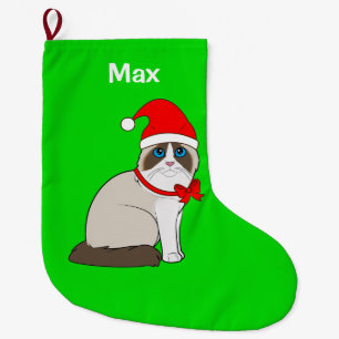 Ragdoll Katze gekleidet in der Weihnachtsmannmütz Großer Weihnachtsstrumpf
