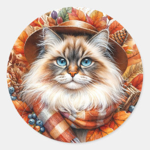 Ragdoll Katze im Herbst - Karpfen mit Herbstlauben Runder Aufkleber