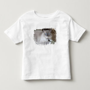 Ragdoll-Katze Kleinkind T-shirt
