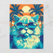 Ragdoll Katze mit Sonnenbrille am Strand