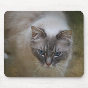 Ragdoll Katze Mousemat Mousepad
