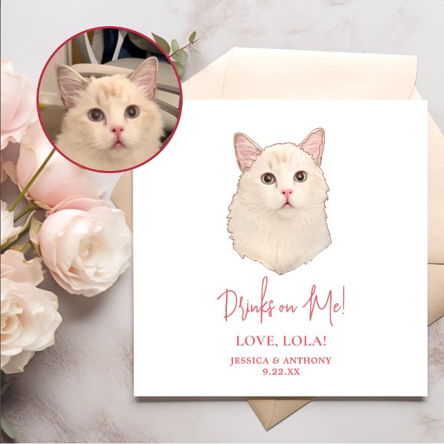 Ragdoll Katze Personalisierte Getränke auf mich Serviette (Von Creator hochgeladen)