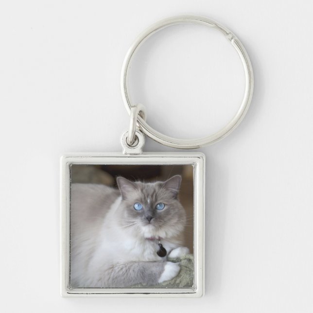 Ragdoll-Katze Schlüsselanhänger (Vorne)