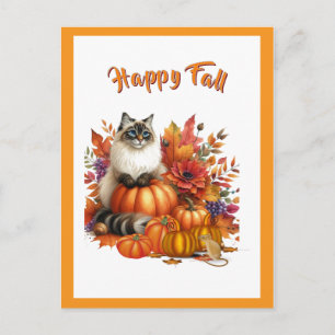 Ragdoll-Katze und Kürbisse Froher Herbst Feiertagspostkarte
