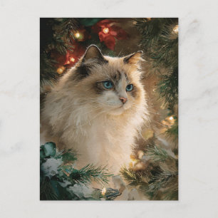 Ragdoll-Katze Weihnachten Postkarte