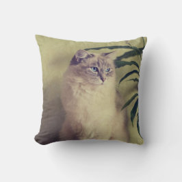 Ragdoll Katzen-Kissen Kissen