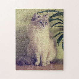 Ragdoll Katzen-Laubsäge
