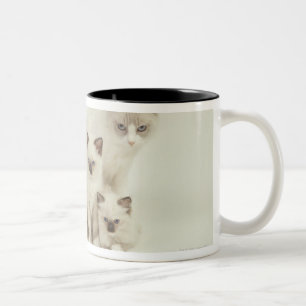 Ragdoll Katzenfrau mit Kätzchen Zweifarbige Tasse