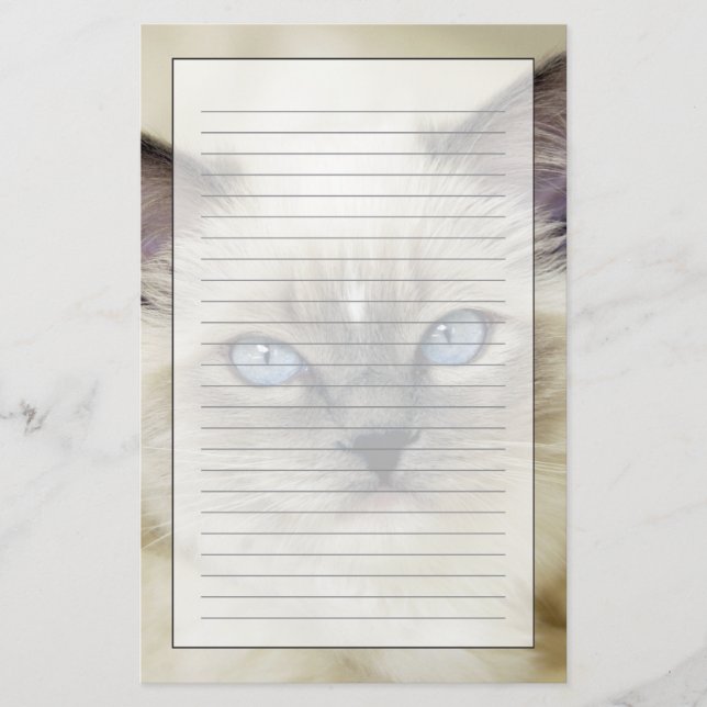 Ragdoll Kitten Briefpapier (Vorderseite)