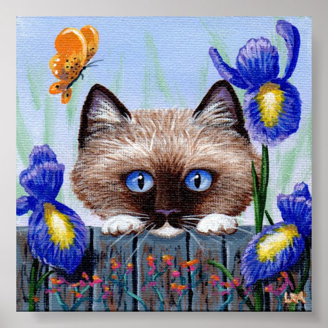 Ragdoll Kitten Cat Siamese Burmese Poster (Vorne)