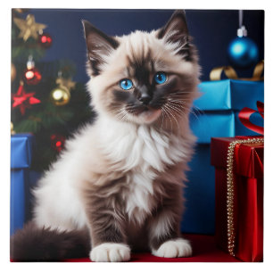 Ragdoll Kitten Christmas Present Fliese