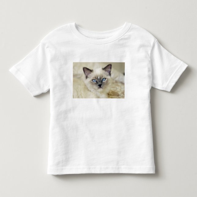 Ragdoll Kitten Kleinkind T-shirt (Vorderseite)