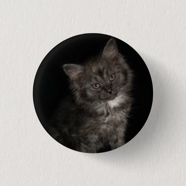 Ragdoll kitten ragdoll cat face Schwarz-weiß kitty Button (Vorderseite)