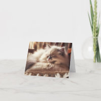 Ragdoll Kitten Schlafen auf einem Kissen