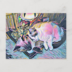 Ragdoll Kittens Postkarte