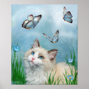 Ragdoll Kitty and Butterfells Art Poster/Print Poster
