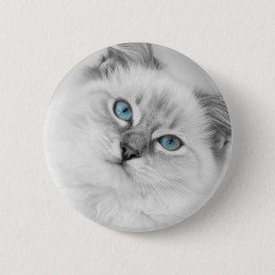 ragdoll Knopf Button