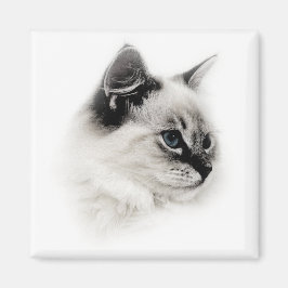 Ragdoll-Magnet Magnet