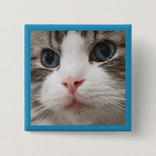 Ragdoll Miezekatze Button