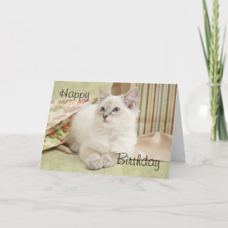 Ragdoll mit giftbags Geburtskarte Karte