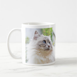 Ragdoll niedliche Katzen-Tasse Kaffeetasse