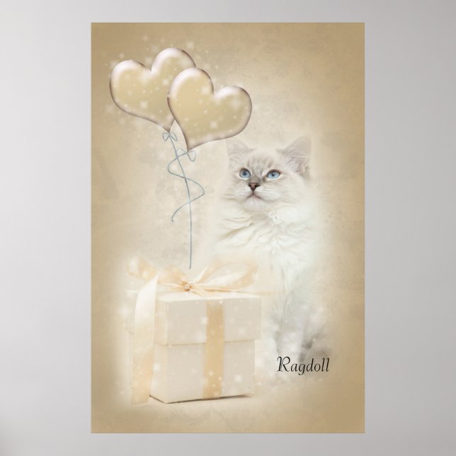 Ragdoll-Poster Poster (Vorne)