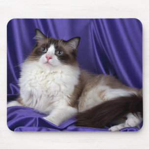 Ragdoll, Siegel zweifarbig Mousepad